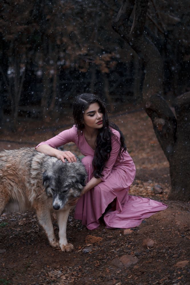 Фотография автора Omid Behnam