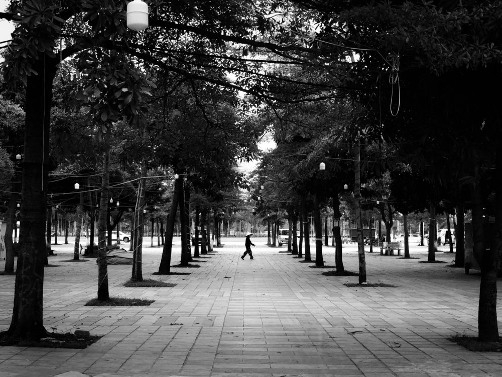 Photograph by Tuan Anh Tran