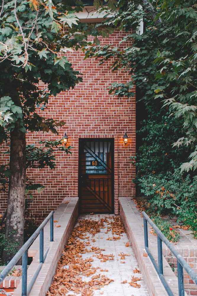 Photograph by Ali Khonginejad