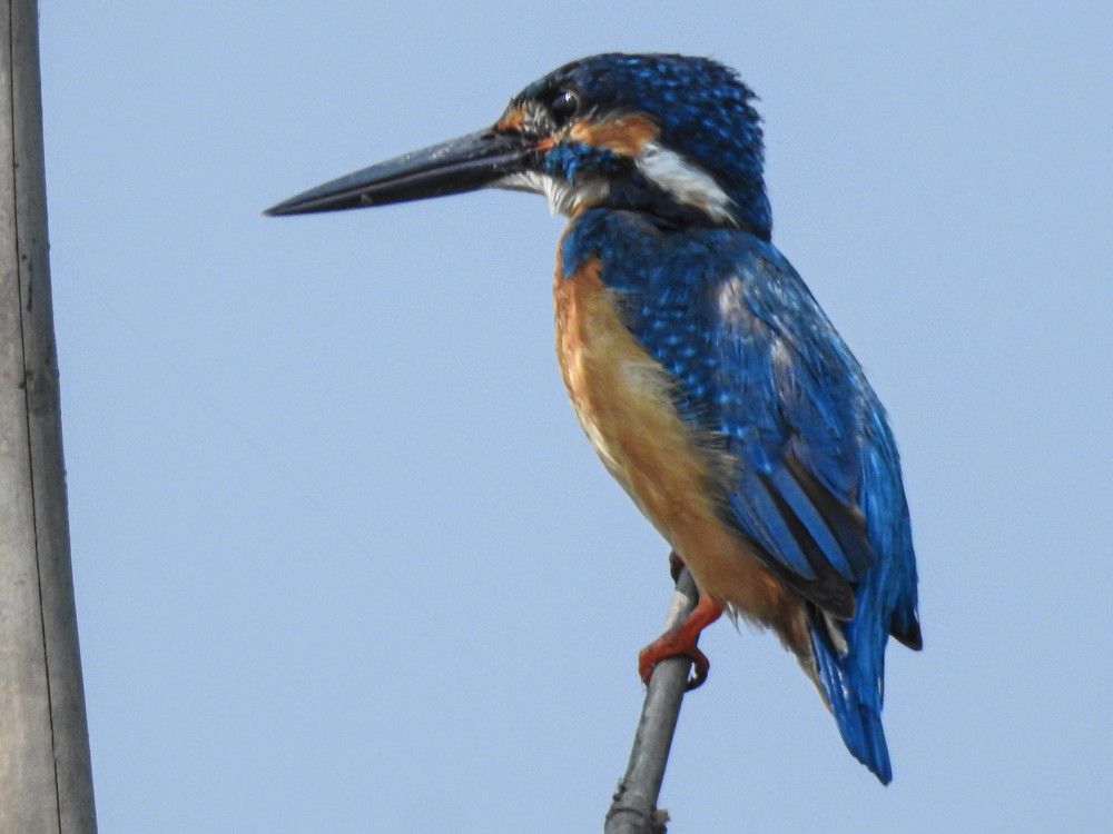 Photograph by Bidyut Dutta