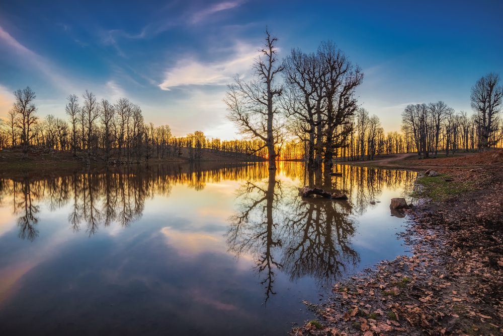 Photograph by Fehd Ghammit