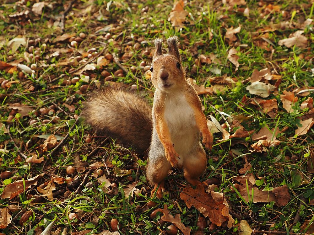 Photograph by Алексей Гнедовский