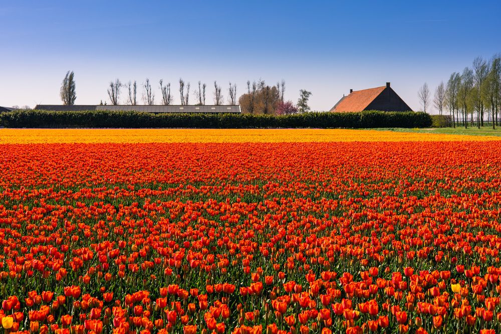 Photograph by Dmitry Zhukovskiy