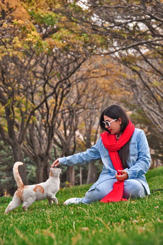 Photograph by mohammad tahmasebi