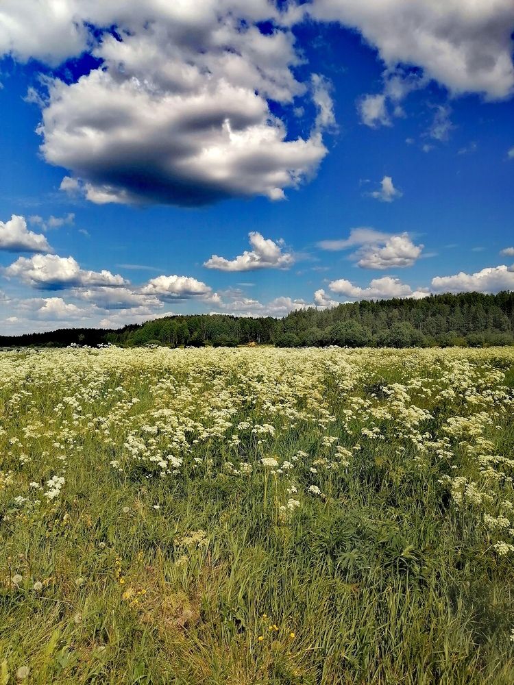 Photograph by Татьяна Бешенкина