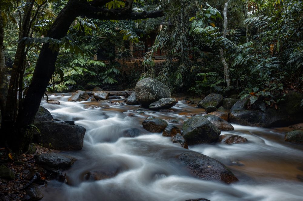 Photograph by Azizul Abd Radzak