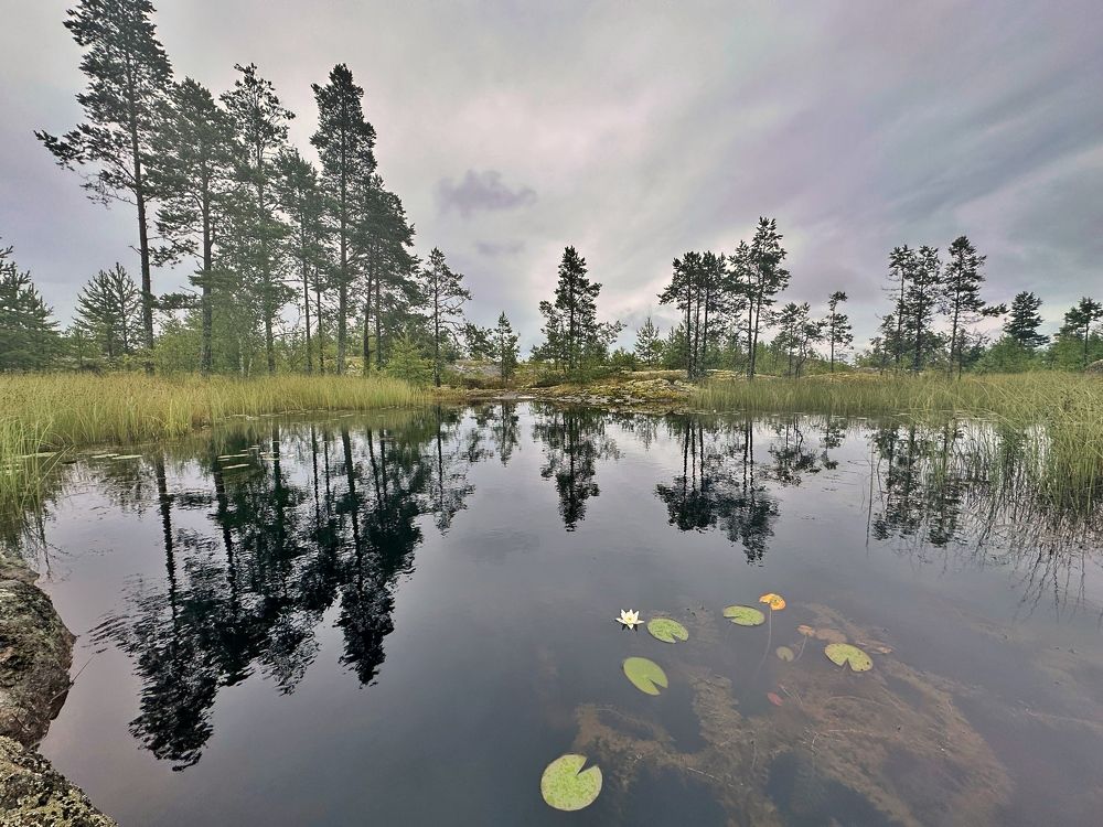 Photograph by Алексей Поляков