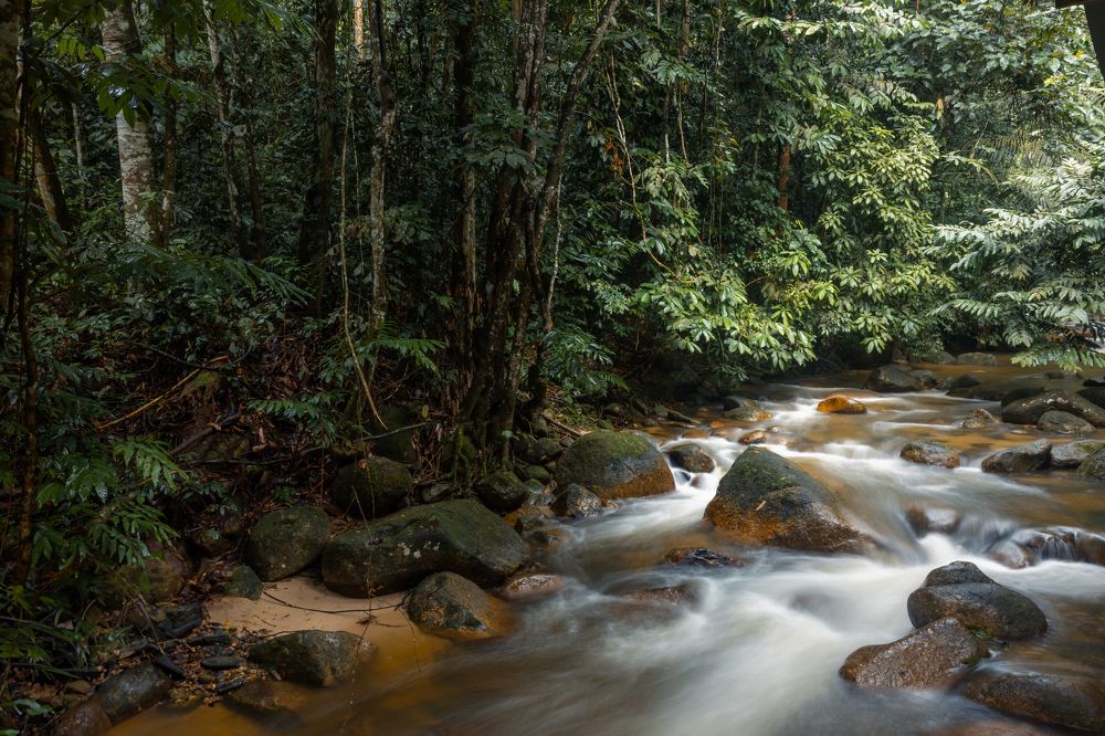 Photograph by Azizul Abd Radzak