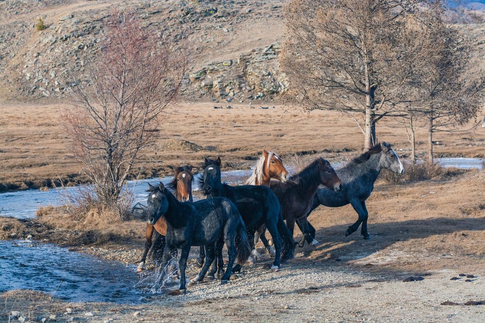 Фотография автора Анастасия Шахотская