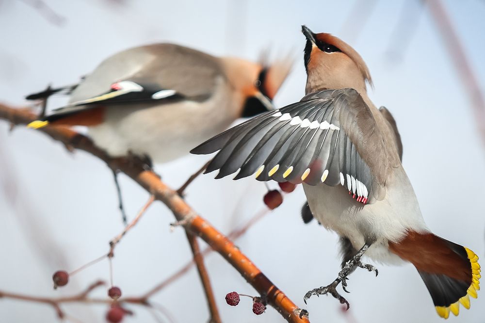 Photograph by Дмитрий Шабалин