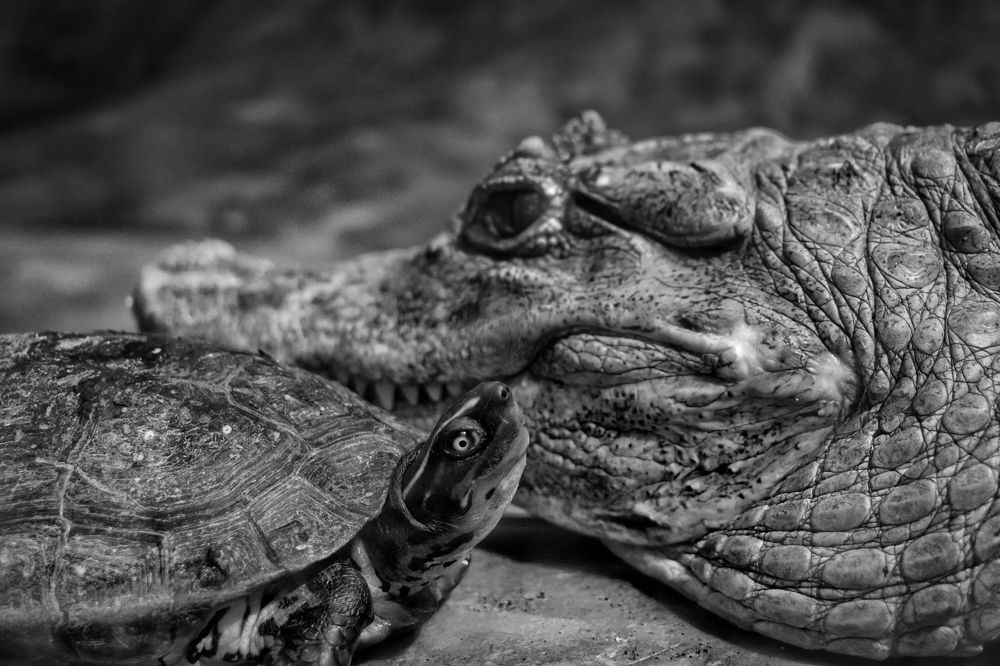 Photograph by Andrés Valencia