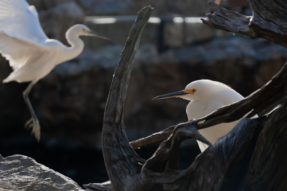 Фотография автора Тетяна Суліма