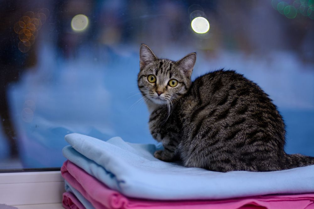 Photograph by Елена Берсенёва