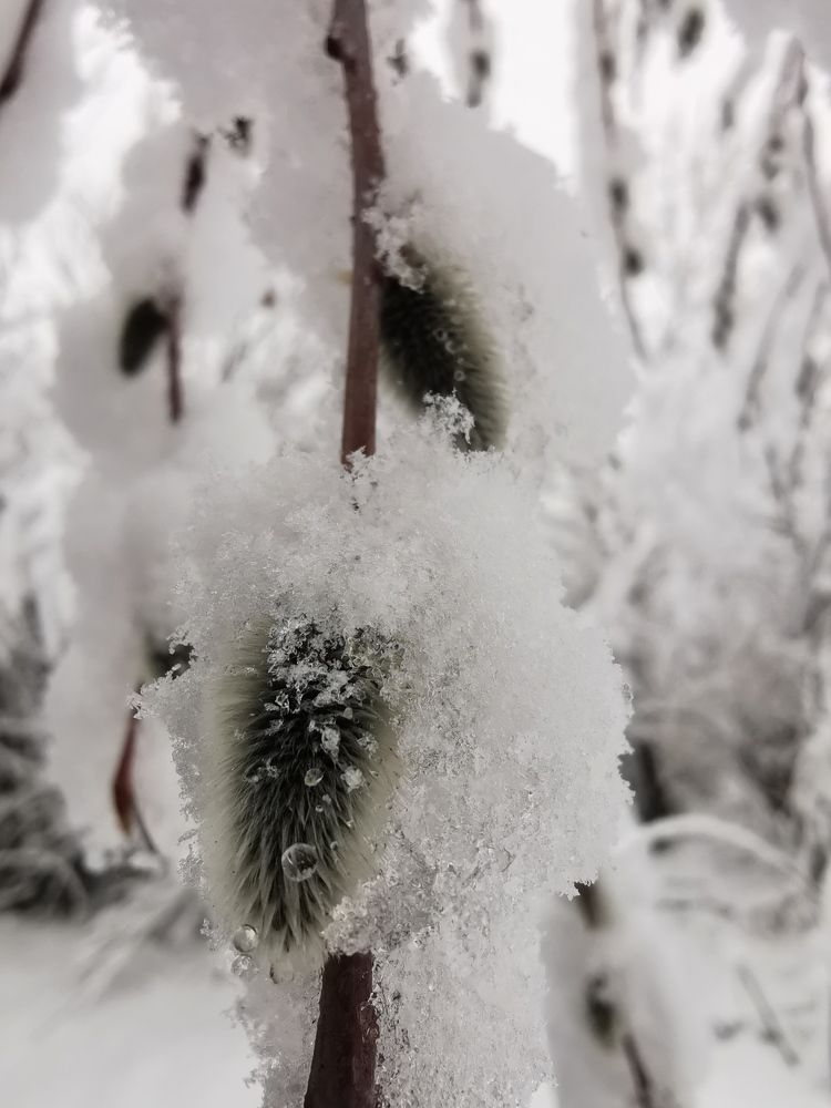 Photograph by Мария Маханько