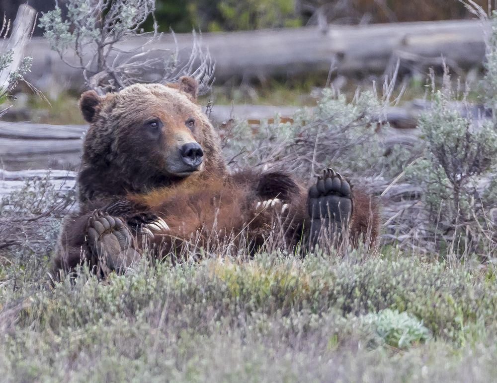 Photograph by Scott Kalter