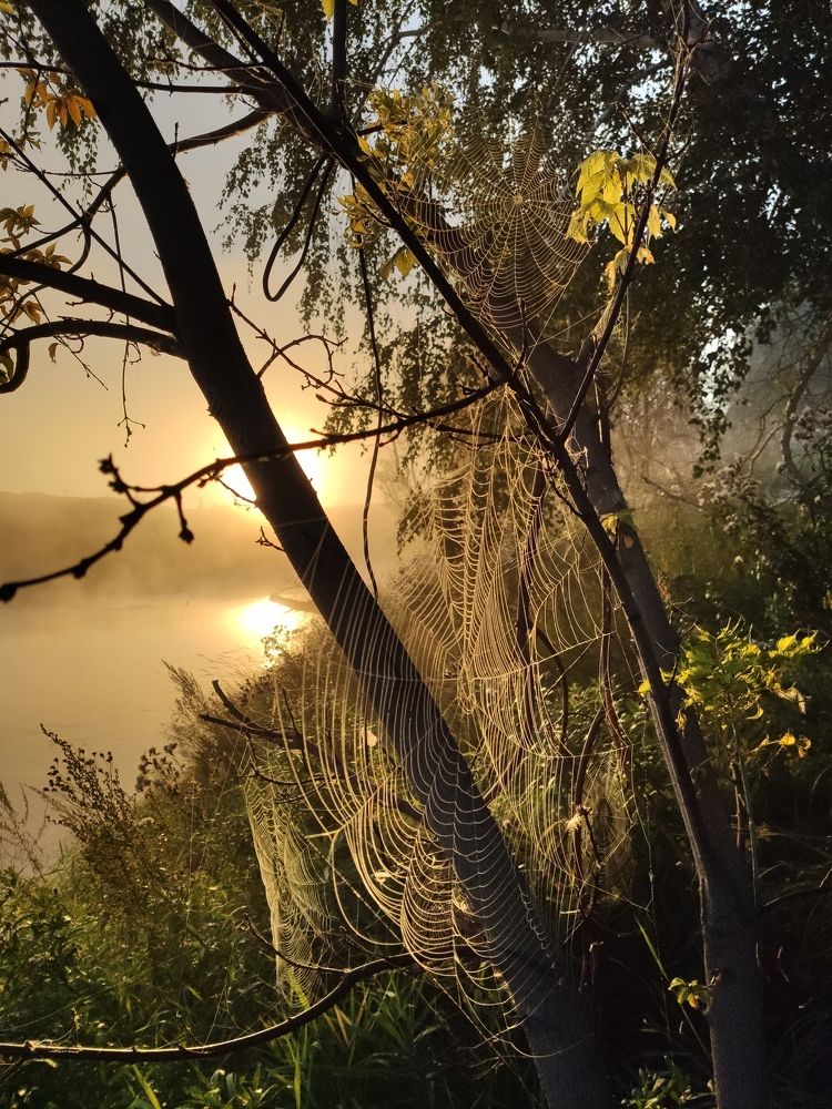 Photograph by Максим Двинин