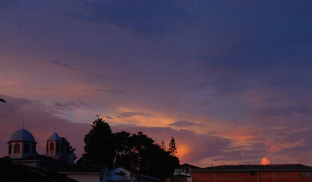 Photo #10379439