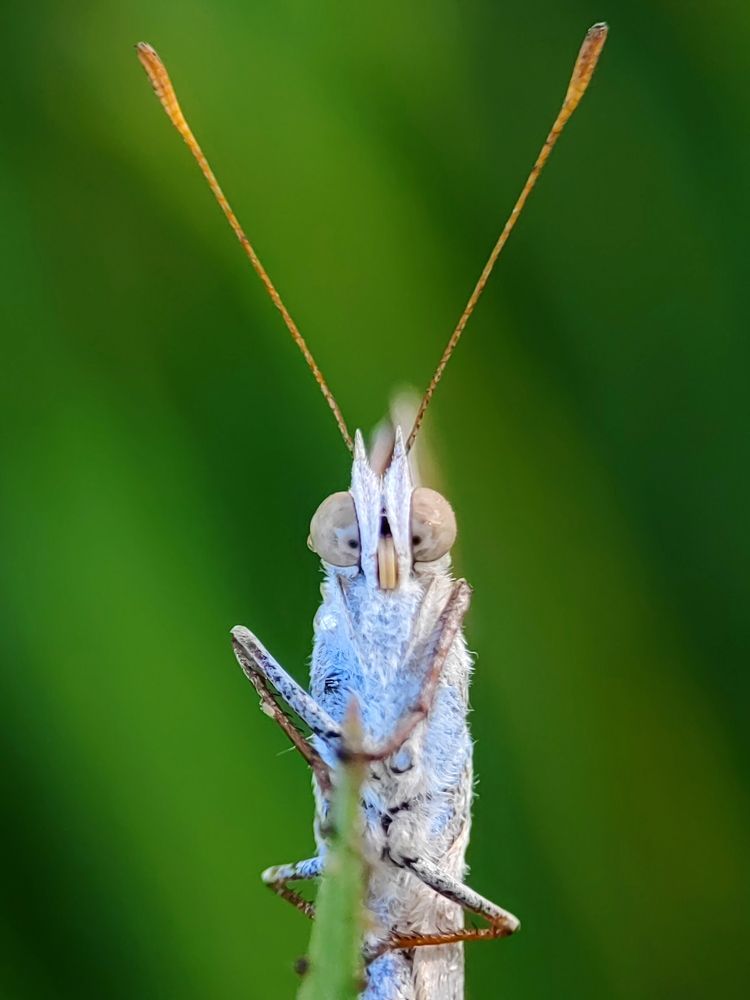 Photograph by Shahid Siyal