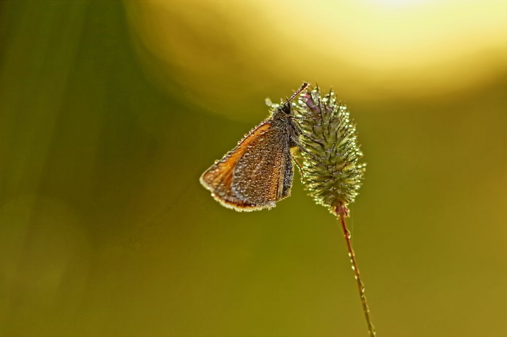 Photograph by Олег Резенов