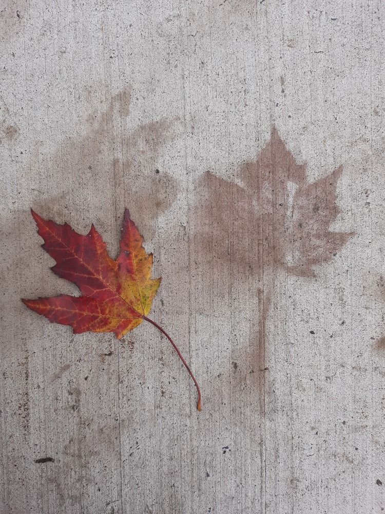 Photograph by Natalia Rassokhina