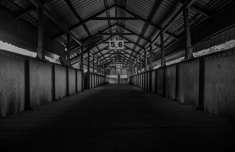 Фотография автора Laddu Sasindu Pramuditha De Silva