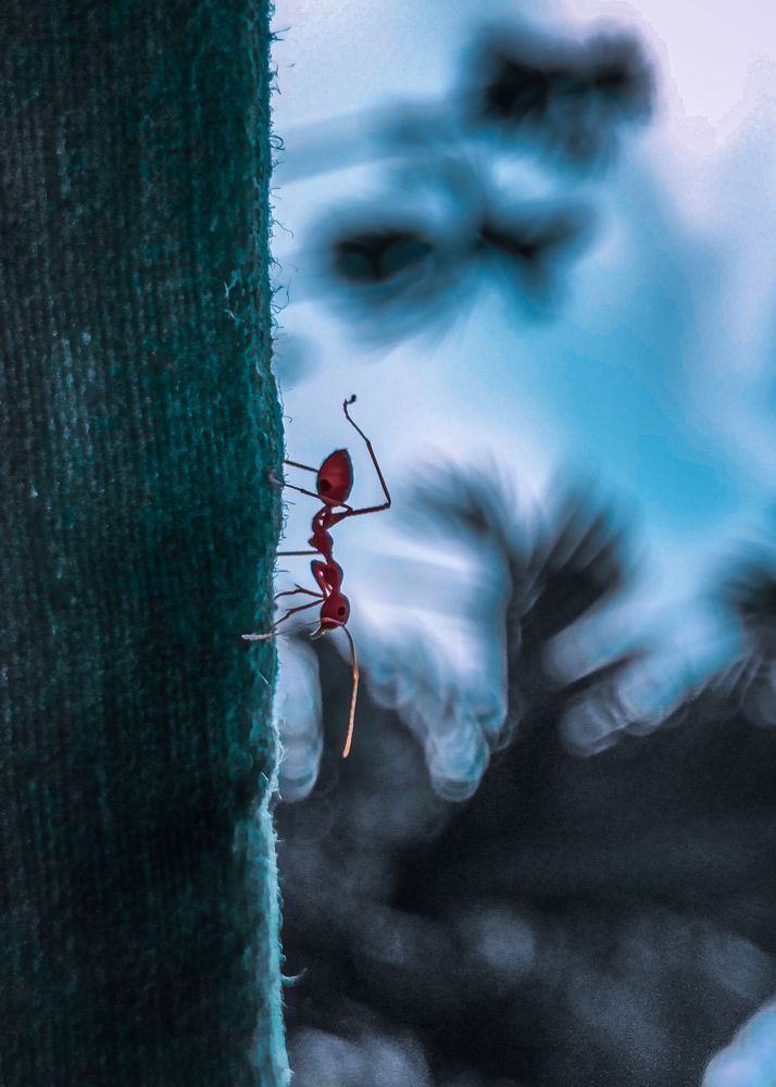 Photograph by GURU KRISHNA BORO