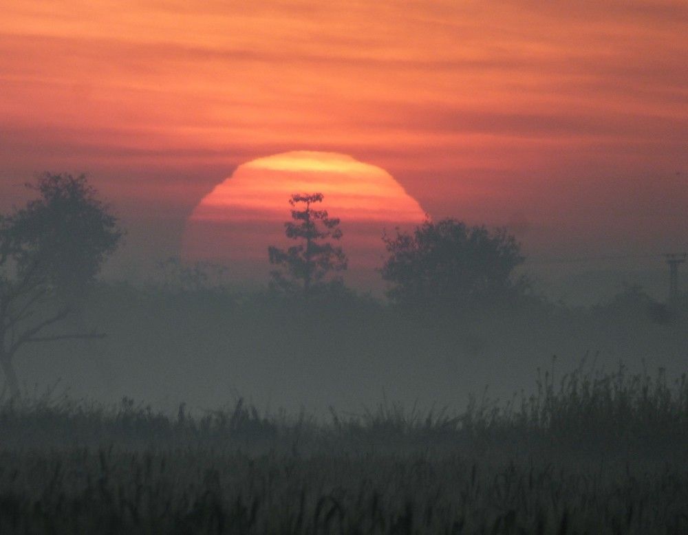 Sunrise in February