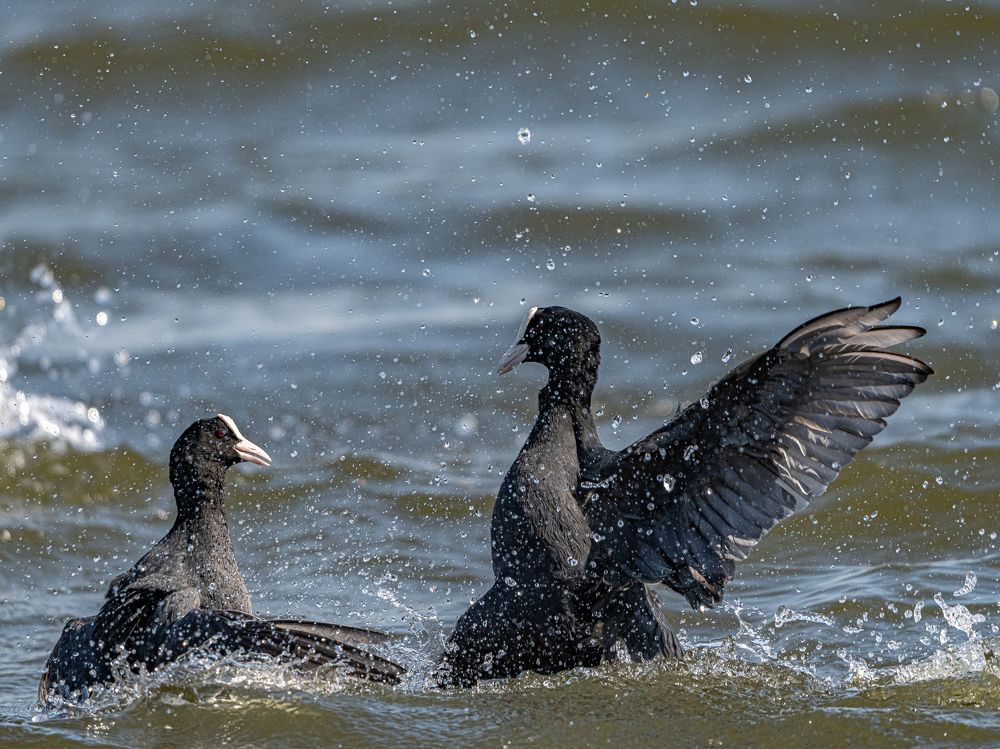 Фотография автора Инна Субботина