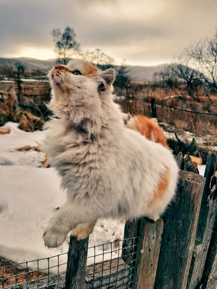 Photograph by Наталья Чередниченко