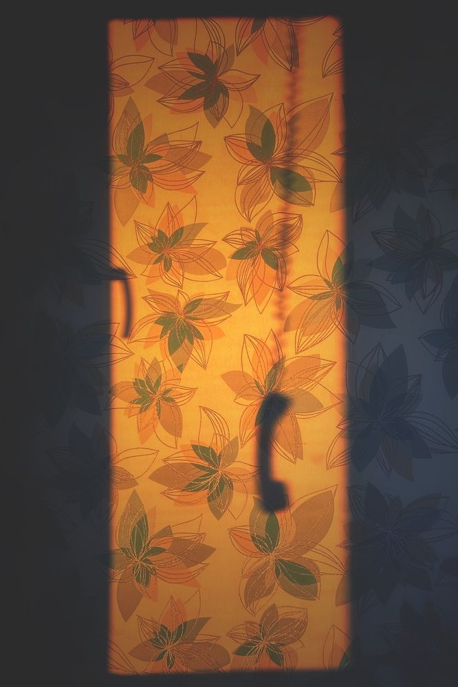 Вы меня слышите?