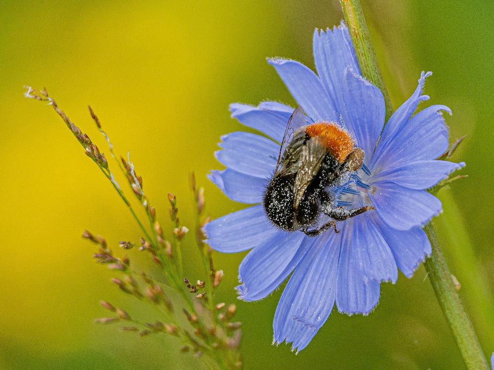 Фотография автора Инна Субботина