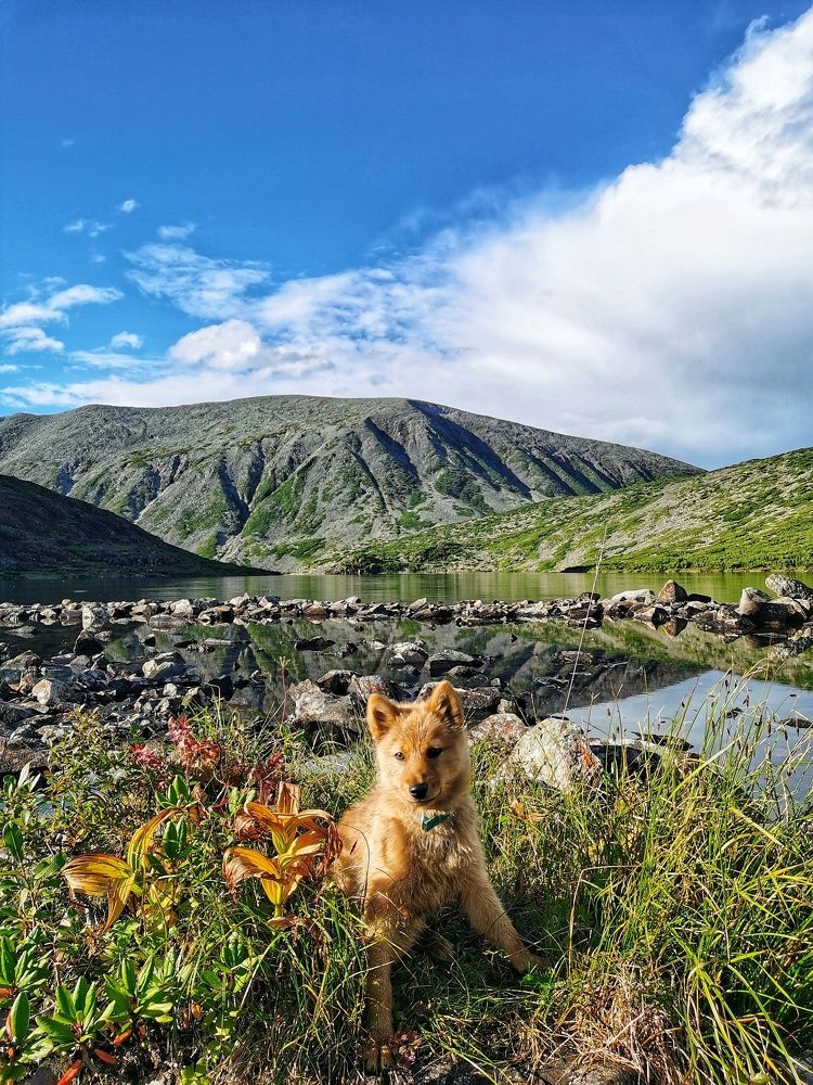 Photograph by Анастасия Зайцева