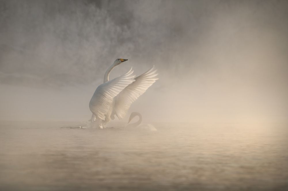 Фотография автора Рудченко Ольга