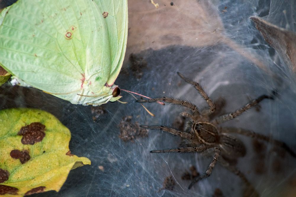 Photograph by vijay parmar