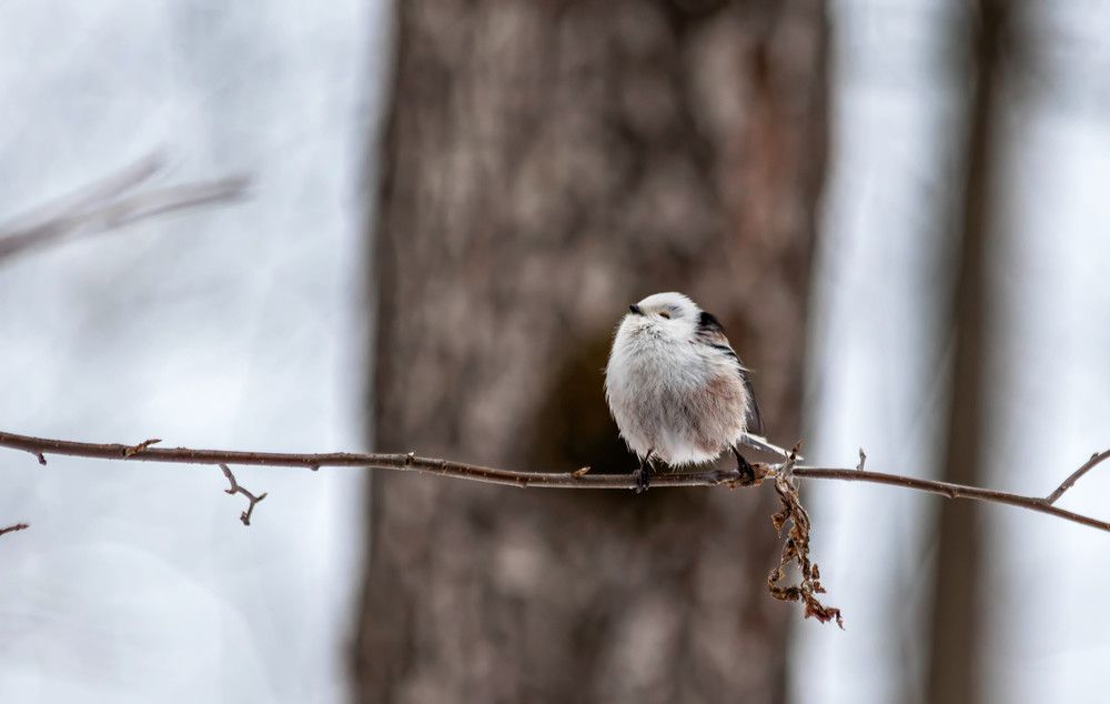 Photograph by Толян Бууулочкин