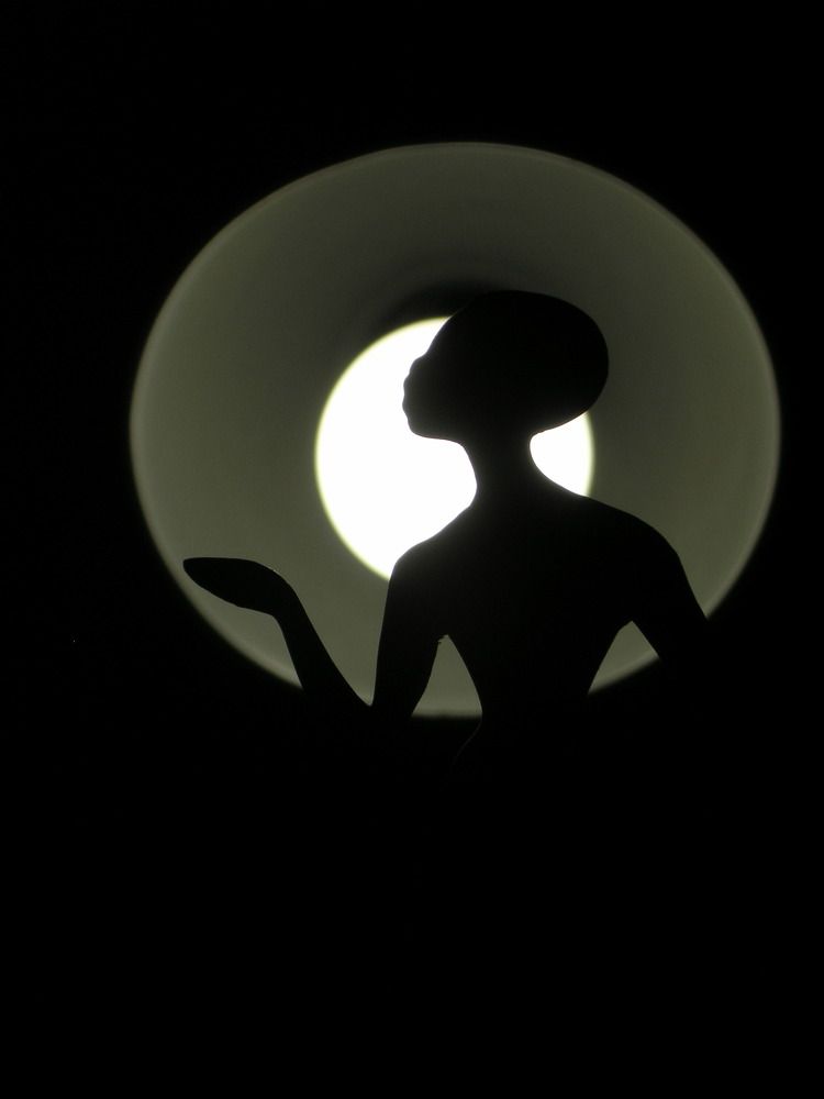 Photograph by Елена Пушина