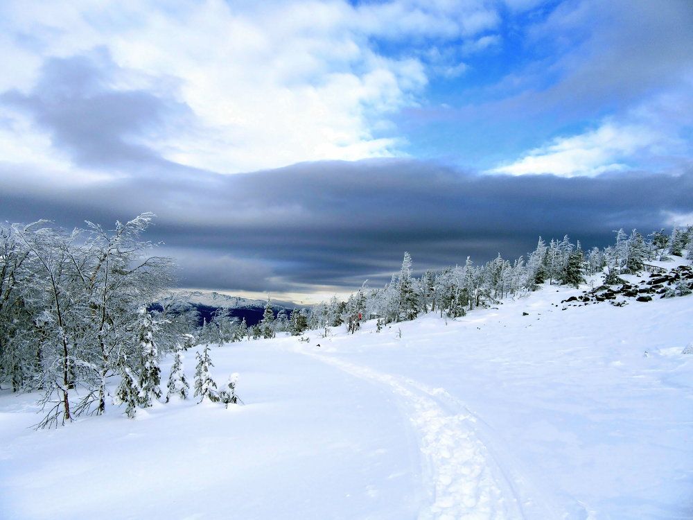 Photograph by Ирина Осипова