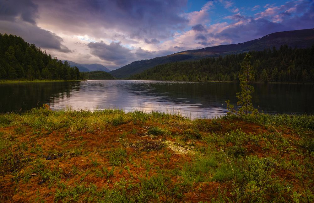 Photograph by Чичкин Валерий