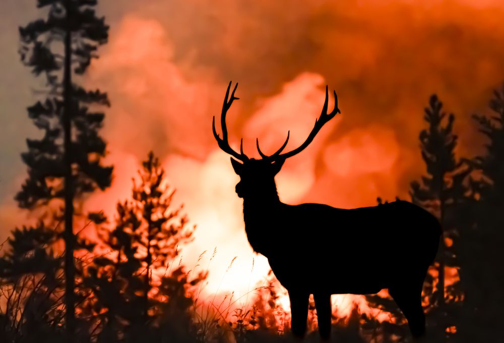 Photograph by Kyle Matthews