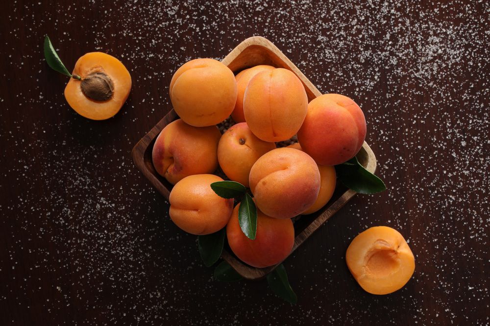 Photograph by Daria Osipova