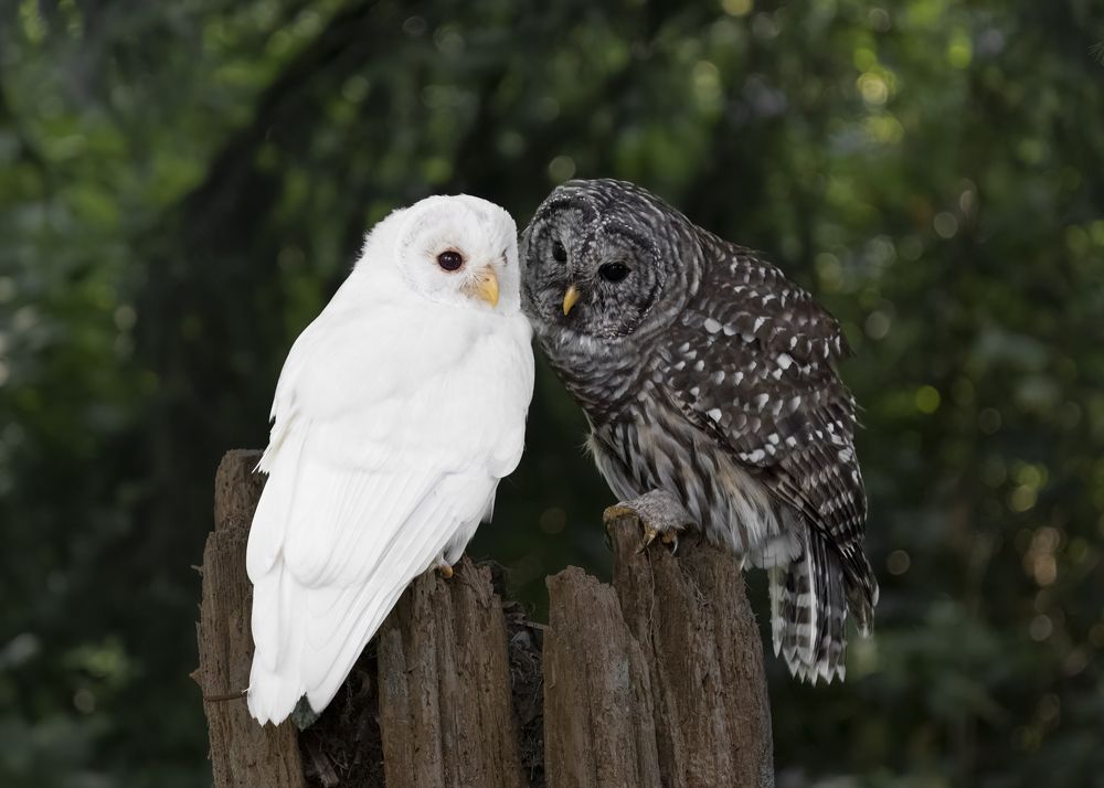 Photograph by Kyle Matthews