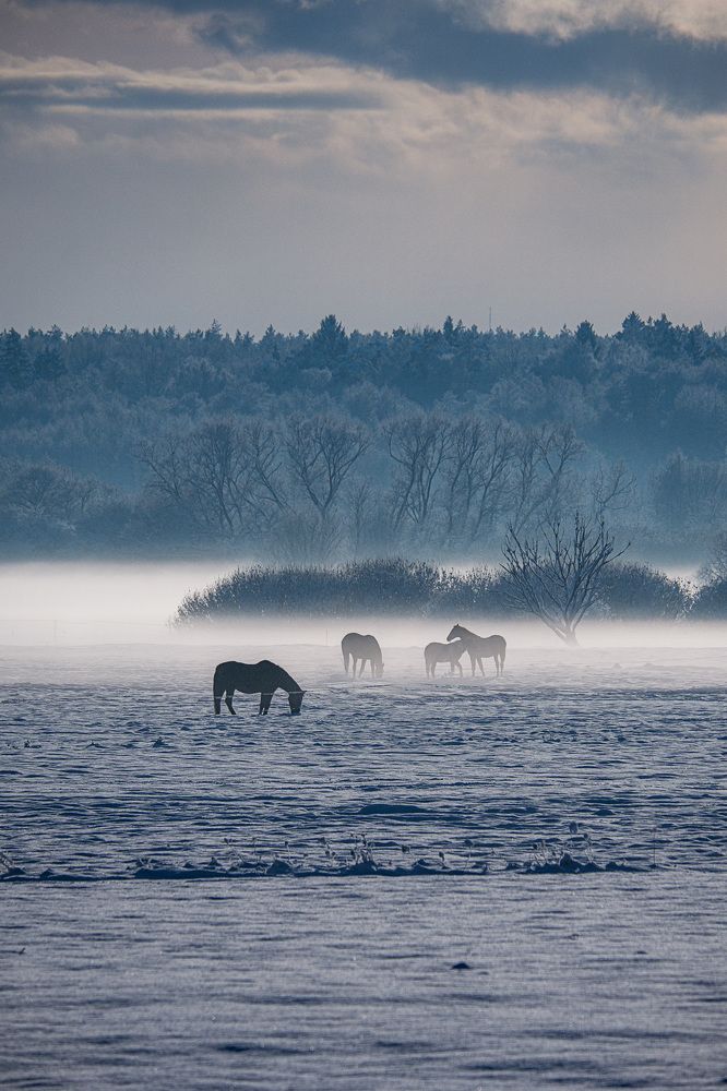 Photograph by Смоляк Максим Дмитриевич