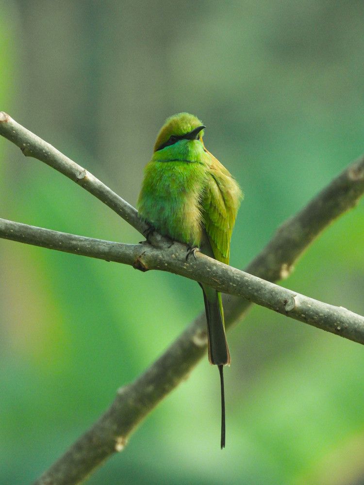 Photograph by Abdullah Al Mamun