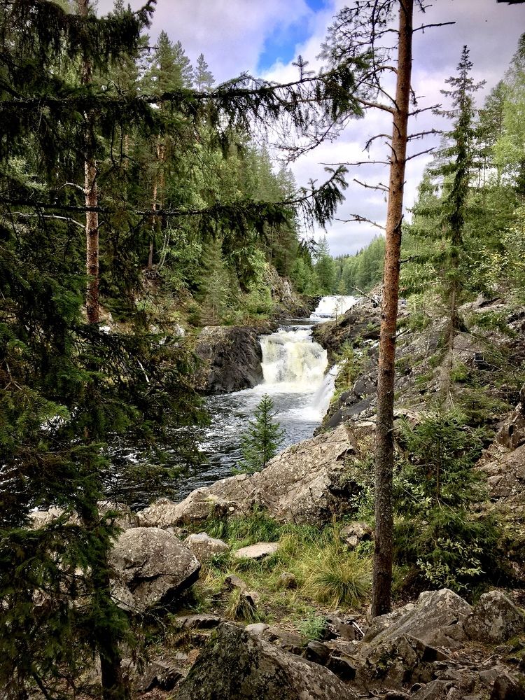 Фотография автора Александр Сипаров