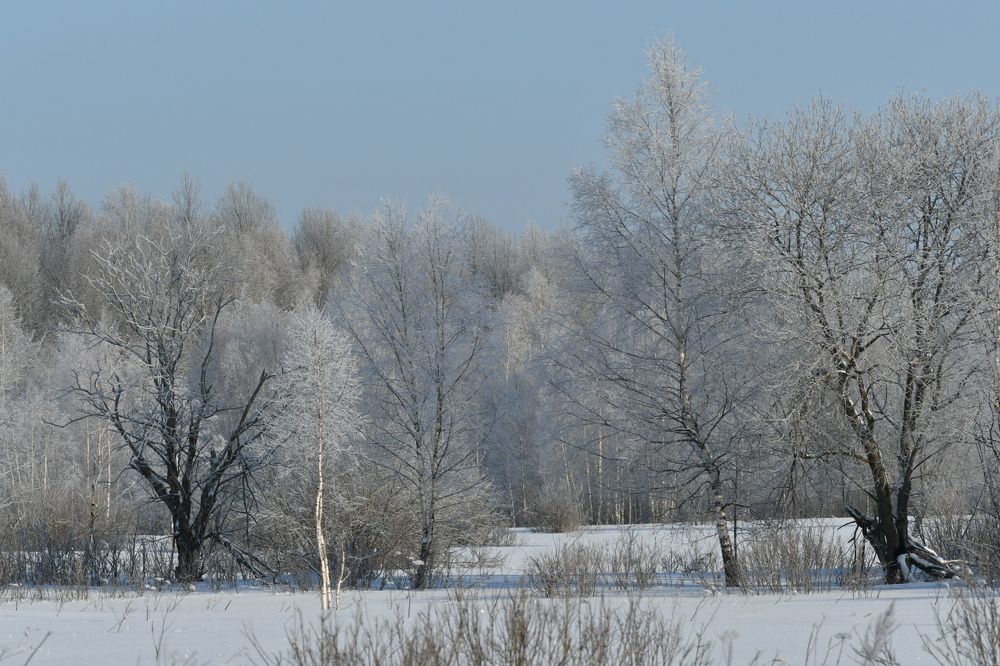Photograph by Максим Рати