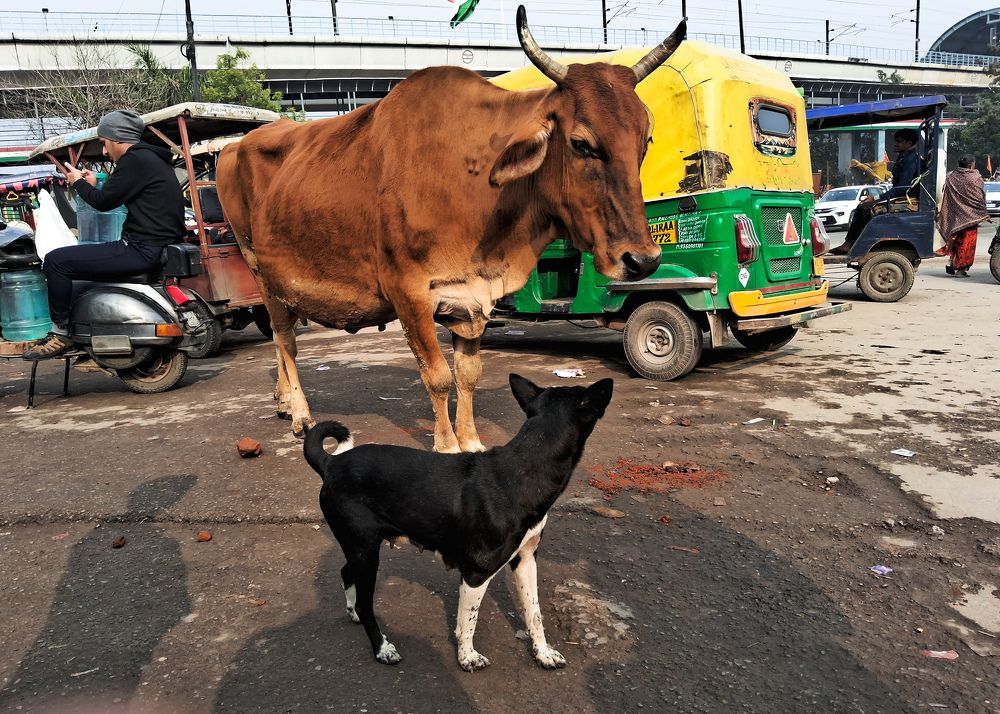 Photograph by Shivam Kumar