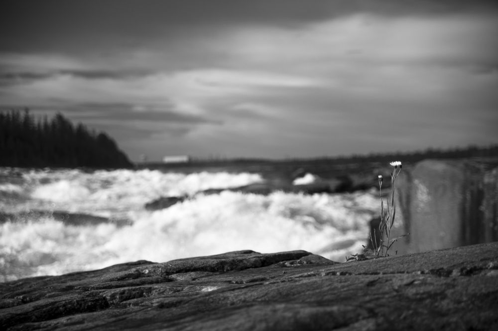 Photograph by Евгений Виличинский