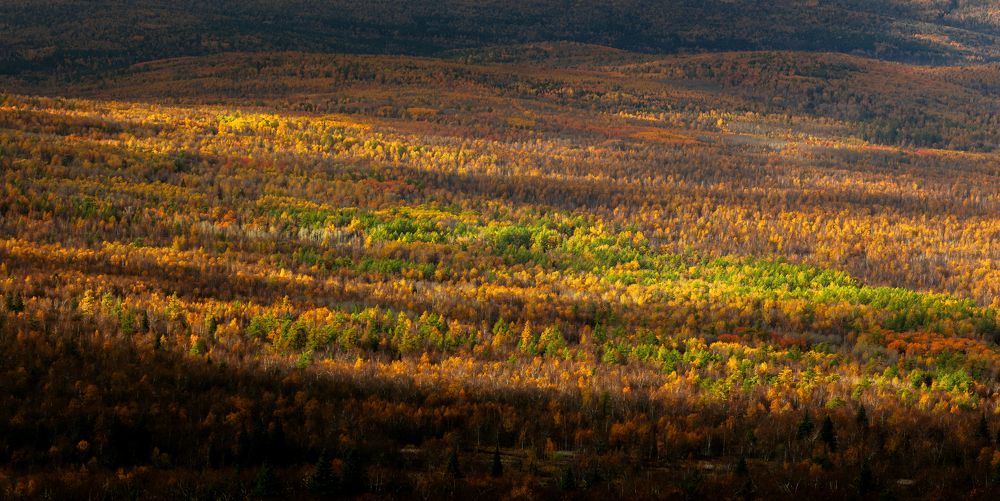 Photograph by Artyom Baydakov