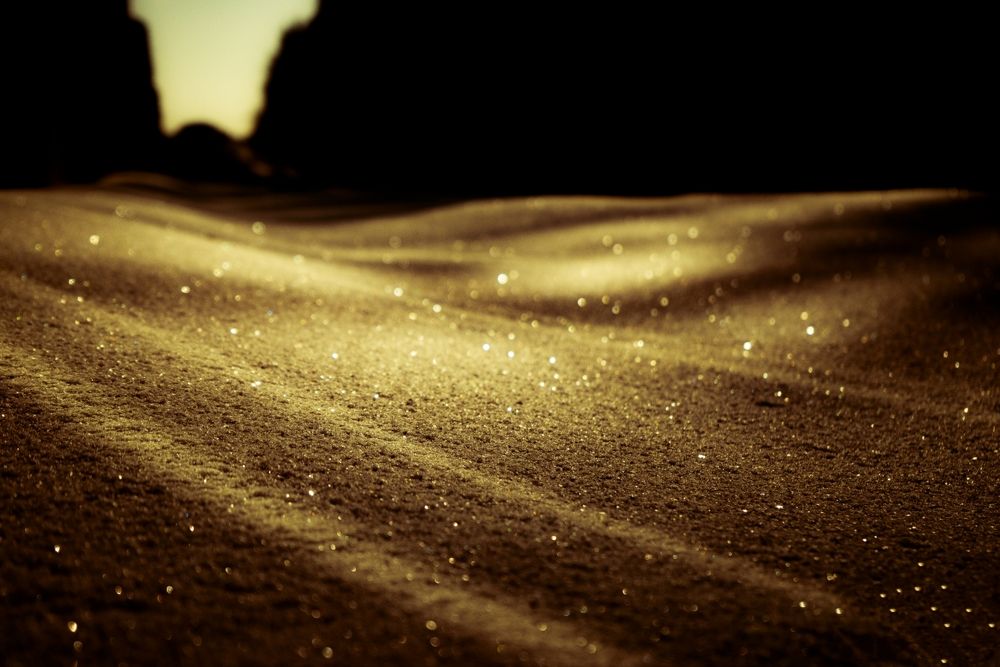 Photograph by Anna Prohorova