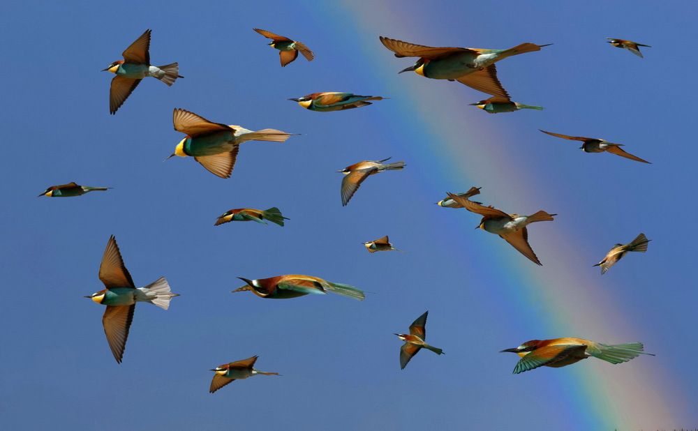 Photograph by Дмитрий Дрозд